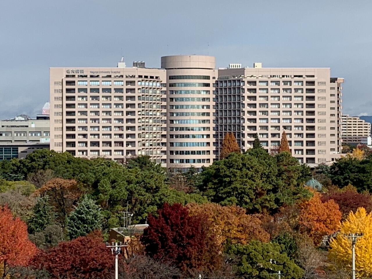 20241209_k005.jpg