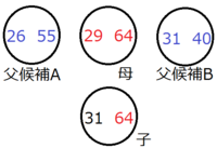 STRを使った鑑定