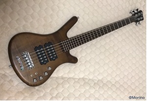 愛機の画像。Warwick bassがお気に入り。