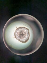 20250521o1.jpg