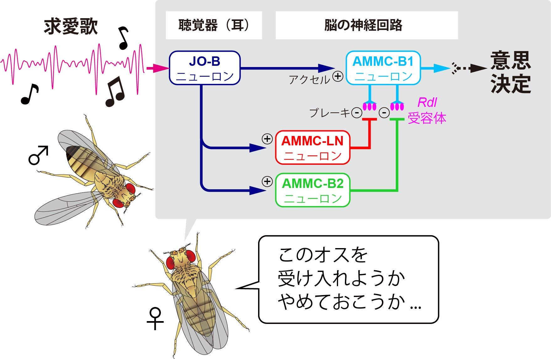 Fig7yoko_180227v001(CS5).jpg