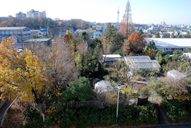 名古屋大学博物館野外観察園の遠景