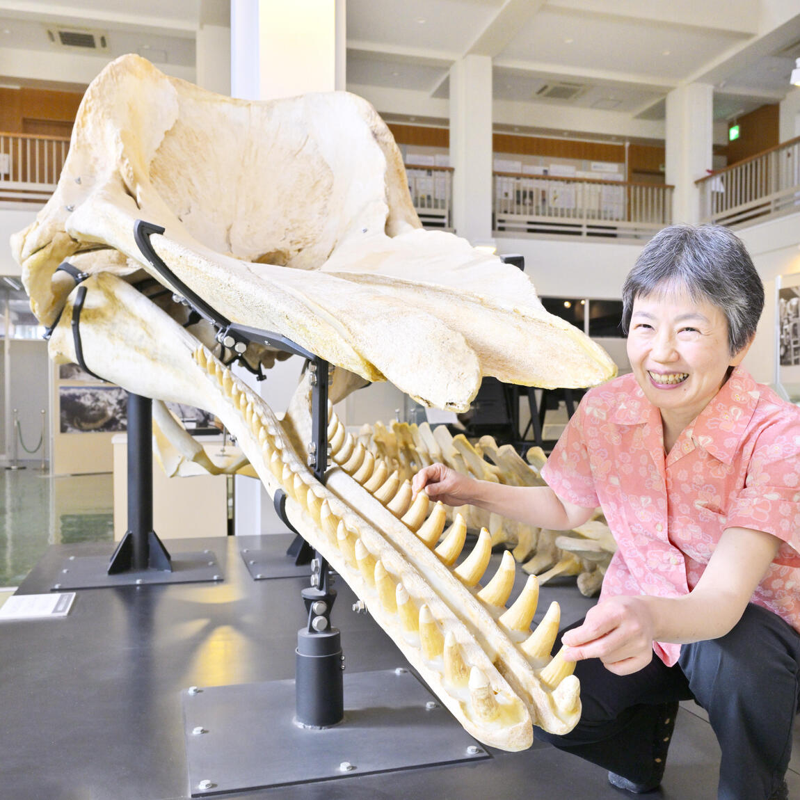 Michiko Niimi画像