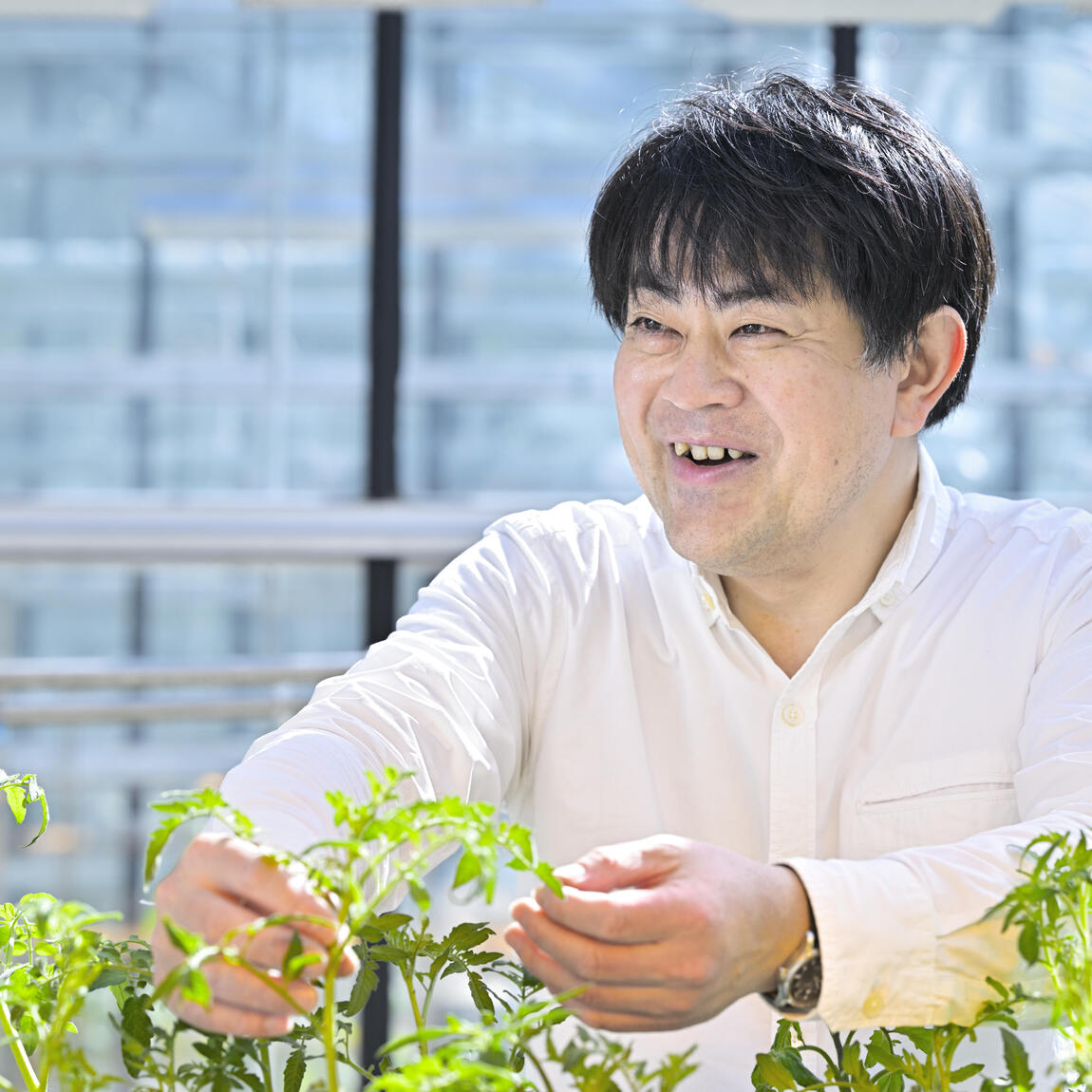 Katsuhiro Shiratake画像