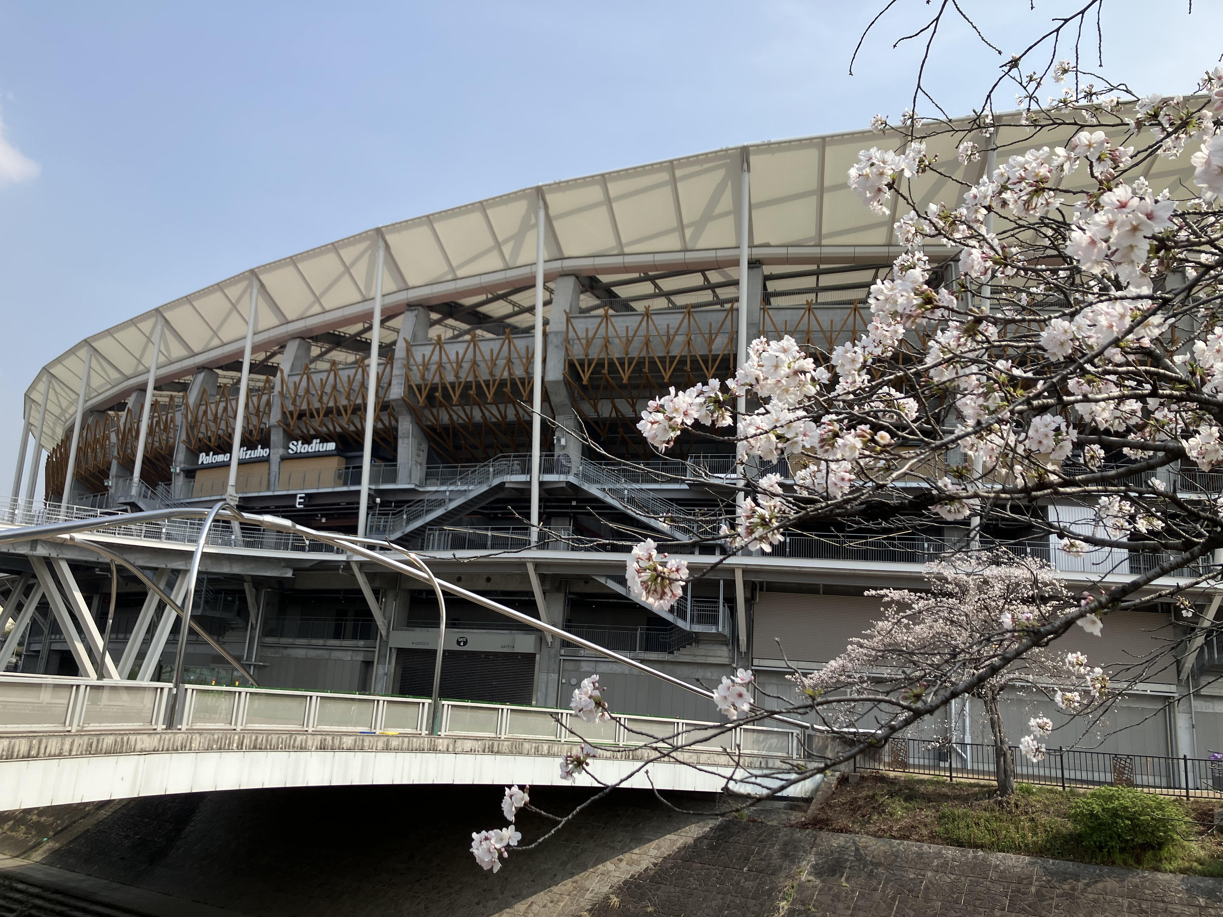 20260329_山崎川.jpg