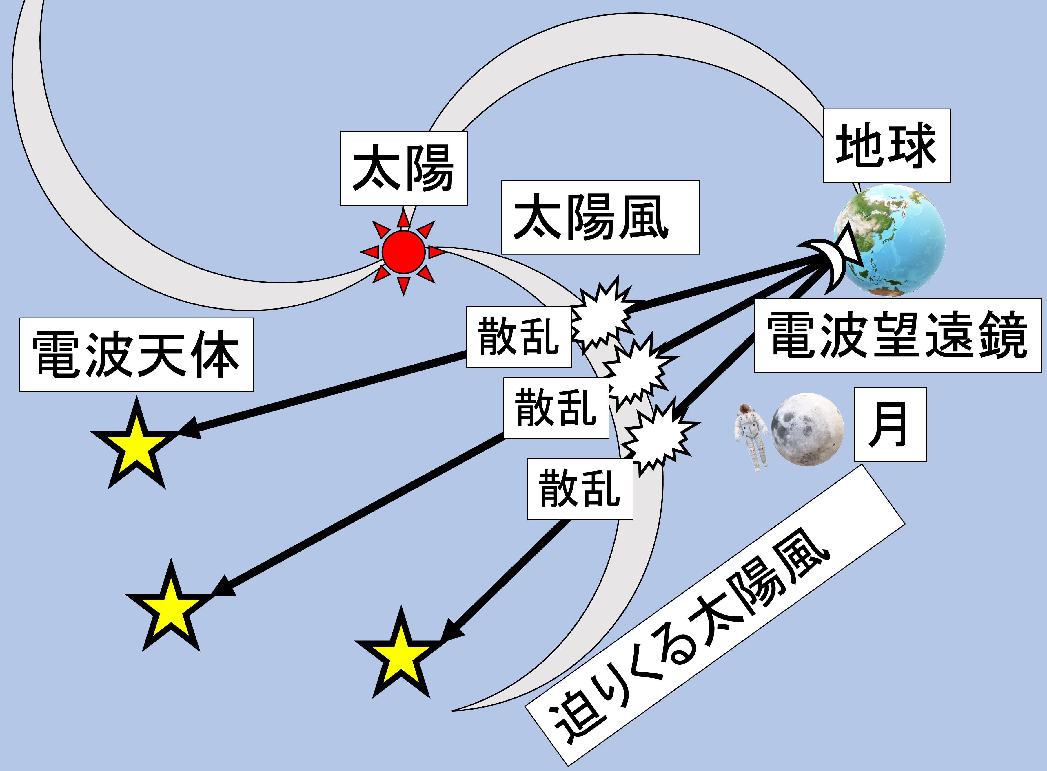 研究の模式図.jpg