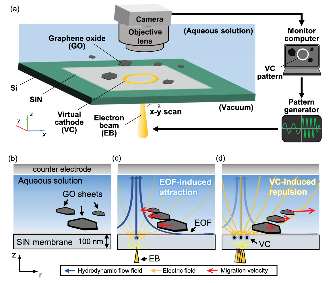Overview of dynamic graphene oxide sorting Sasaki et al 2025.png