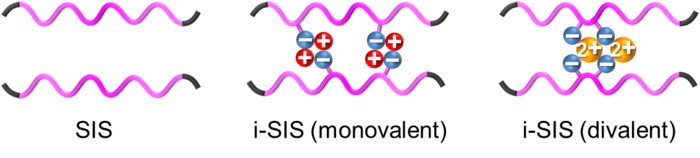 Low-Res_Fig 1 SIS i-SIS monovalent divalent.png.png