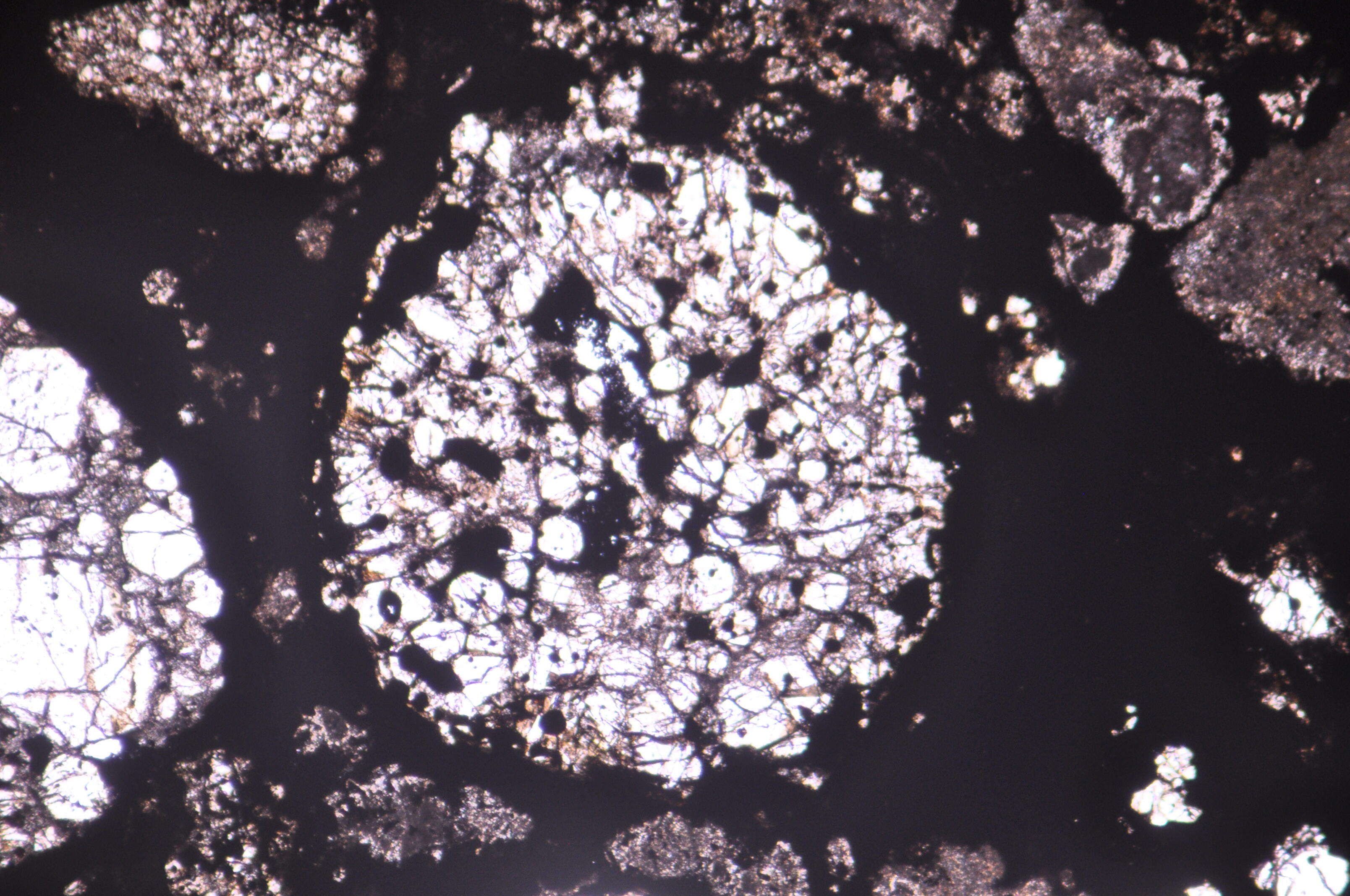 Chondrules in a meteorite sample 3.jpg