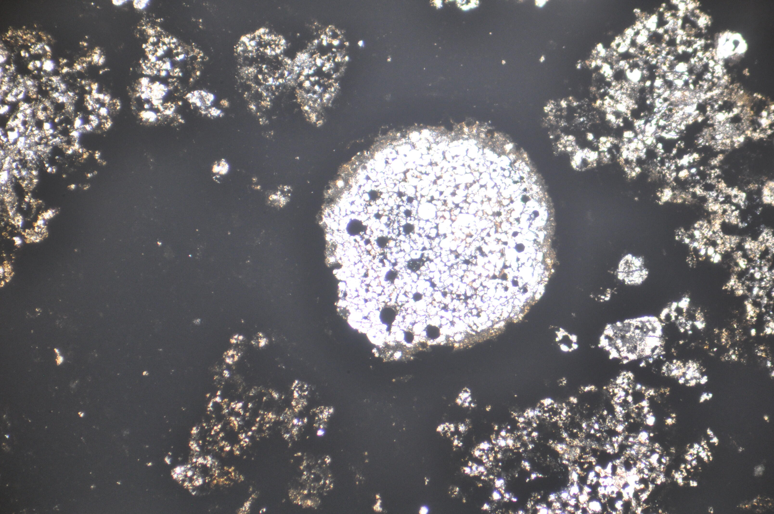 Chondrules in a meteorite sample 2.jpg