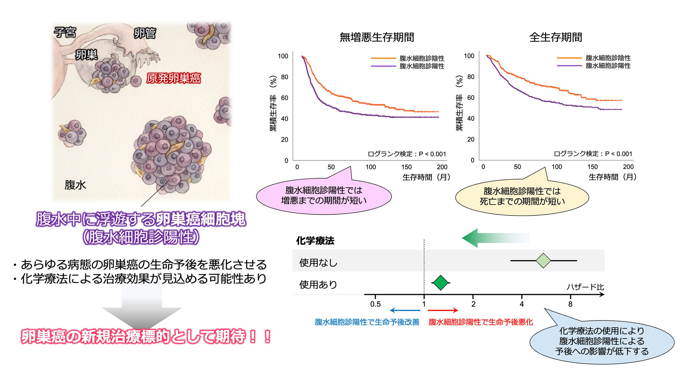 明細胞子宮がんはどのように診断されますか?