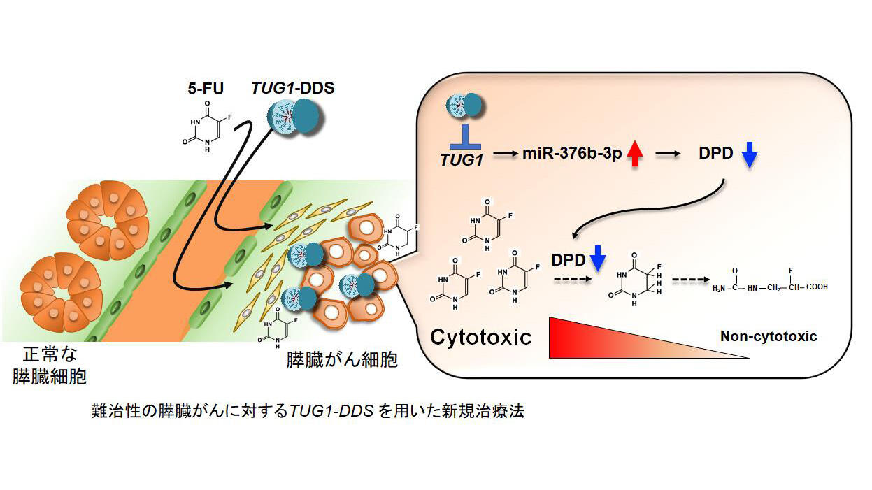 難治性の痛みの合併症