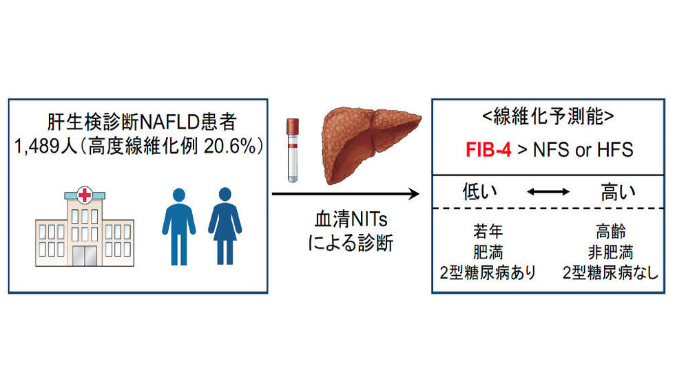9. ビタミンEについて医師に相談してください