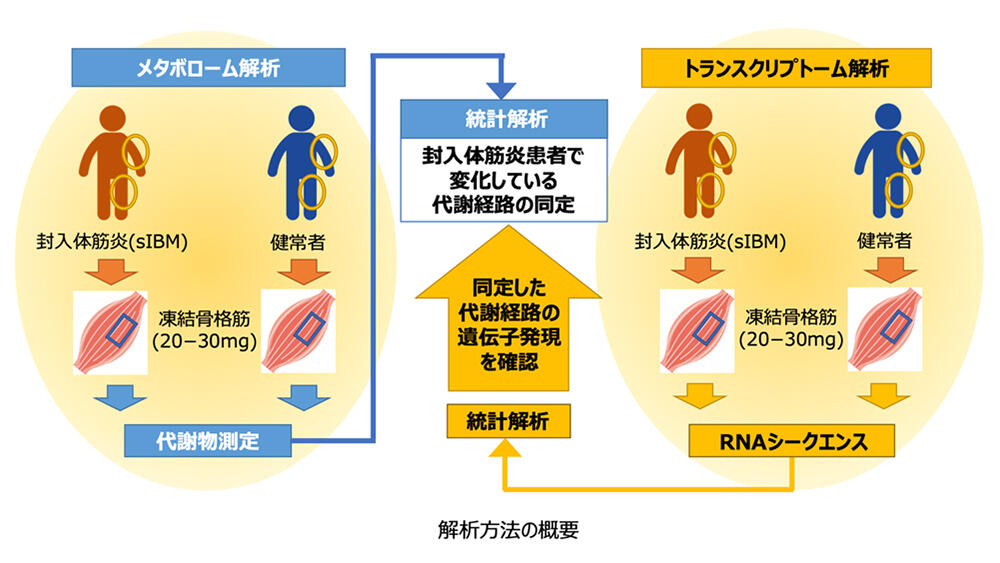 皮膚筋炎に関連する他の癌は何ですか?
