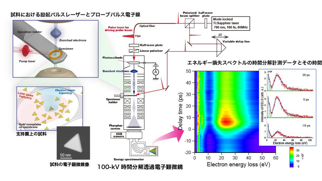 ナノ粒子の表面プラズモン励起緩和過程を観察 ピコ秒パルス電子線を用いた100kv透過電子顕微鏡の実現とそれを用いたエネルギー分析法の確立 名古屋大学研究成果情報