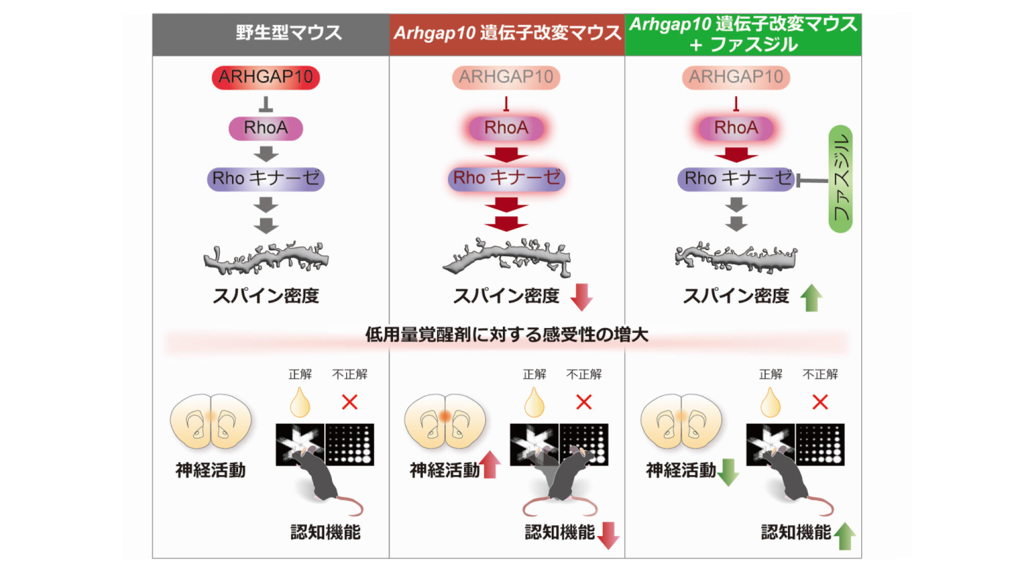 統合 失調 症 薬 飲ま ない で 治っ た