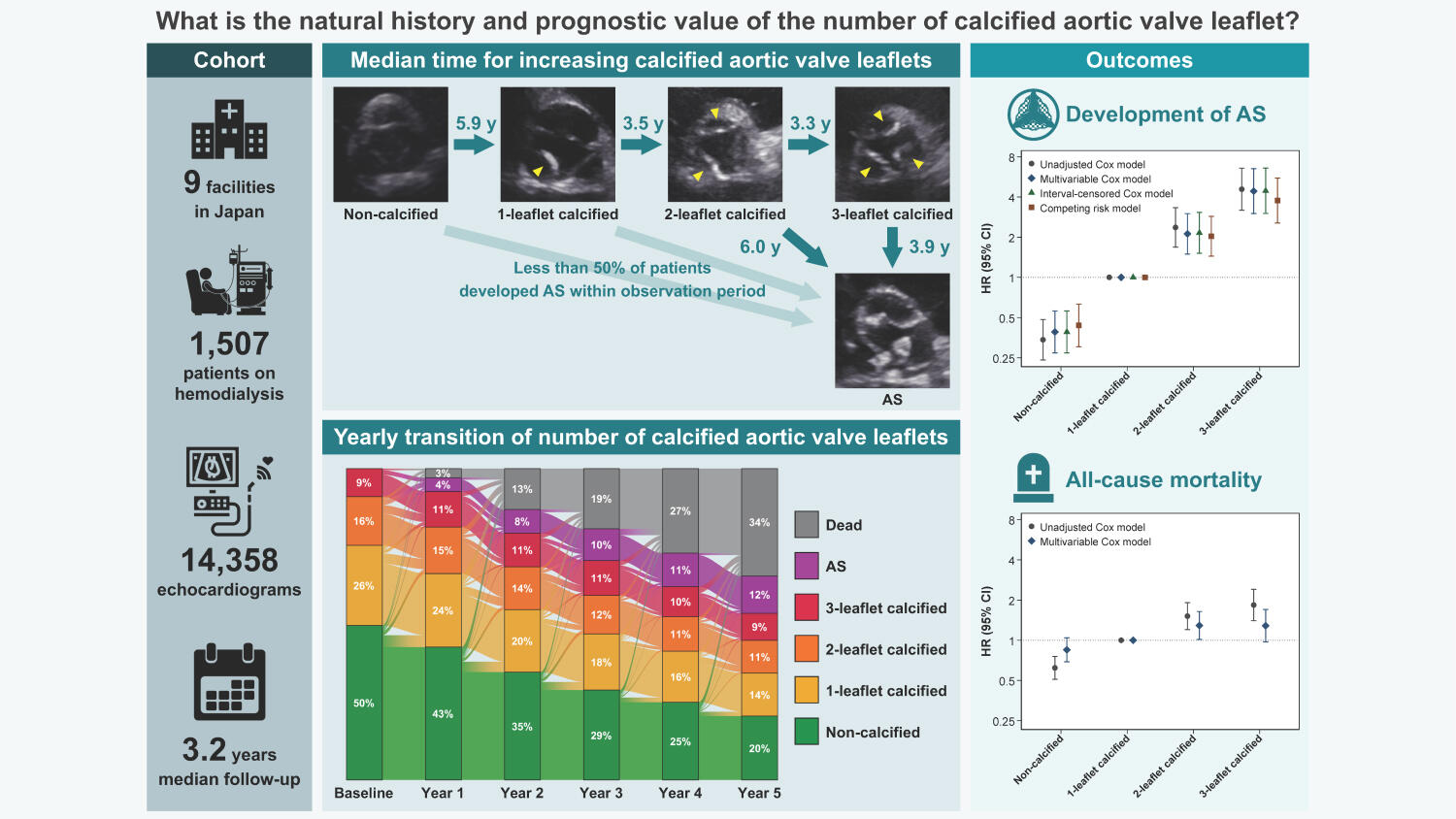 血液透析患者の大動脈弁の石灰化した弁尖の数は、その後の大動脈弁狭窄
