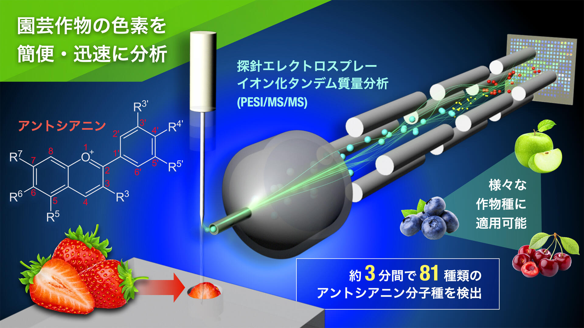 農作物に含まれる成分を簡便・迅速に分析する技術を確立 ～煩雑