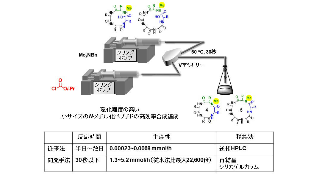 特殊環状ペプチドの低コスト・高生産性・少廃棄物量合成法を開発