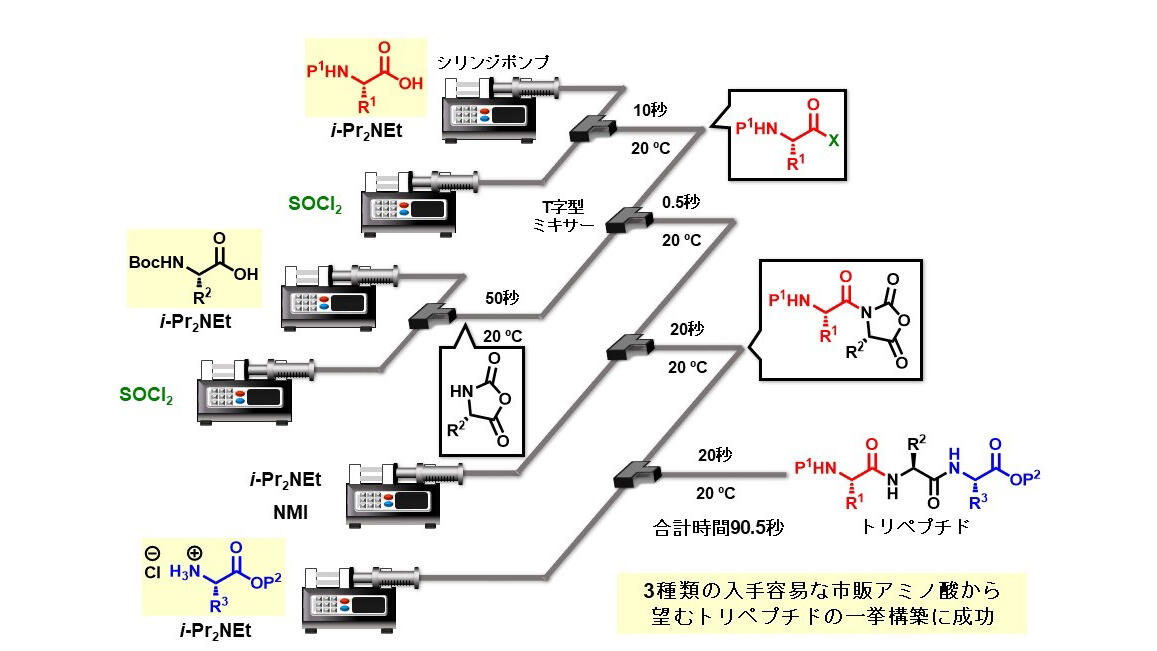 【中古】 ペプチド合成の基礎と実験 Amazon.co.jp: ペプチド合成の基礎と実験 : 泉屋 信夫: 本