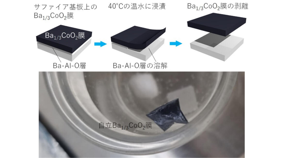 実用的な熱電材料の単結晶化に成功 ～毒性元素を使わない熱電変換の