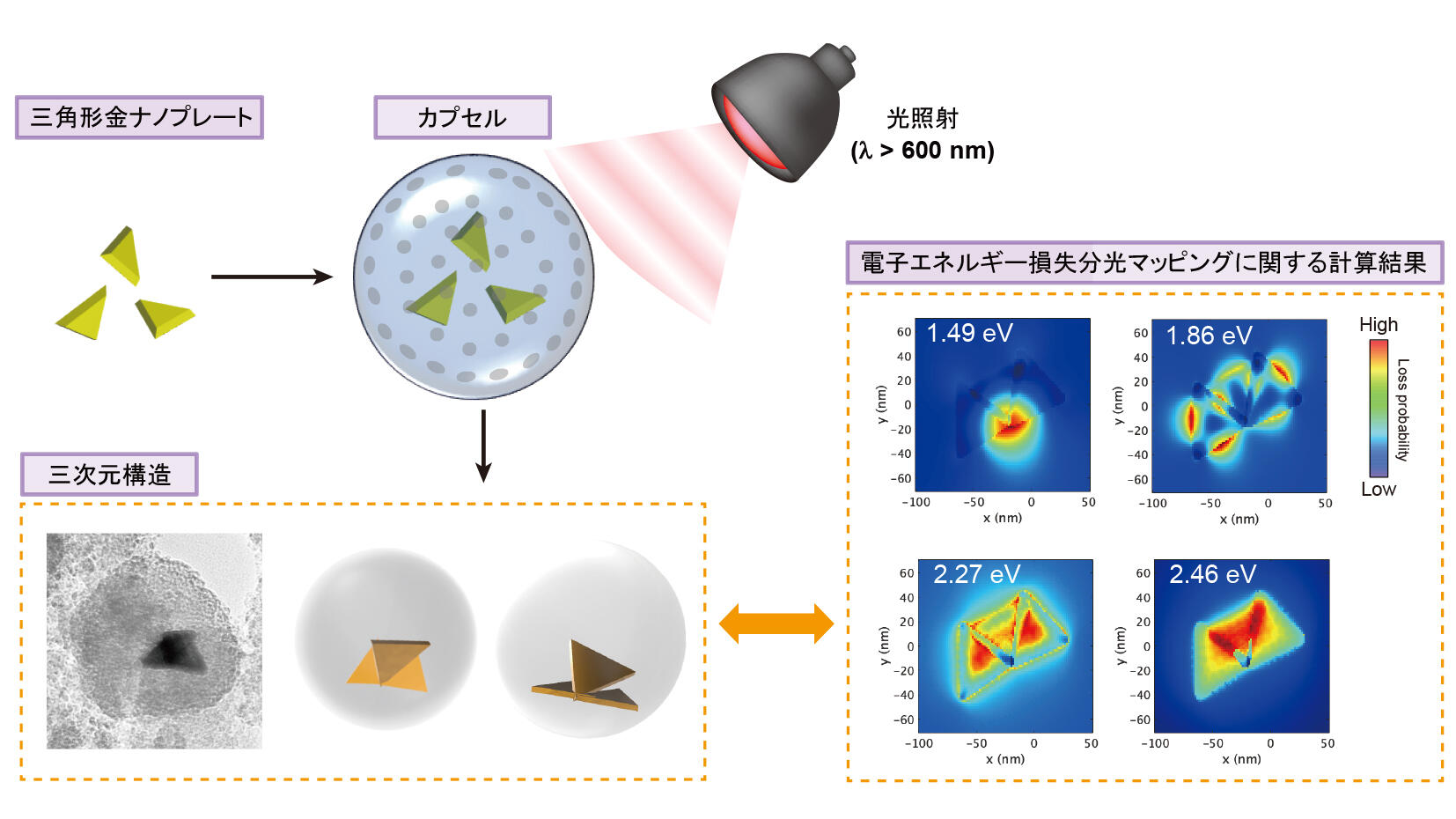 ナノカプセルに閉じ込めた金ナノ粒子を使って三次元構造を組み立てる