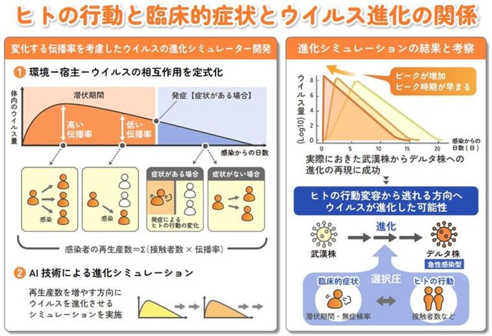 AI技術で新型コロナウイルスの進化メカニズムを分析 ～ウイルスの進化予測を踏まえた感染症対策の第一歩～