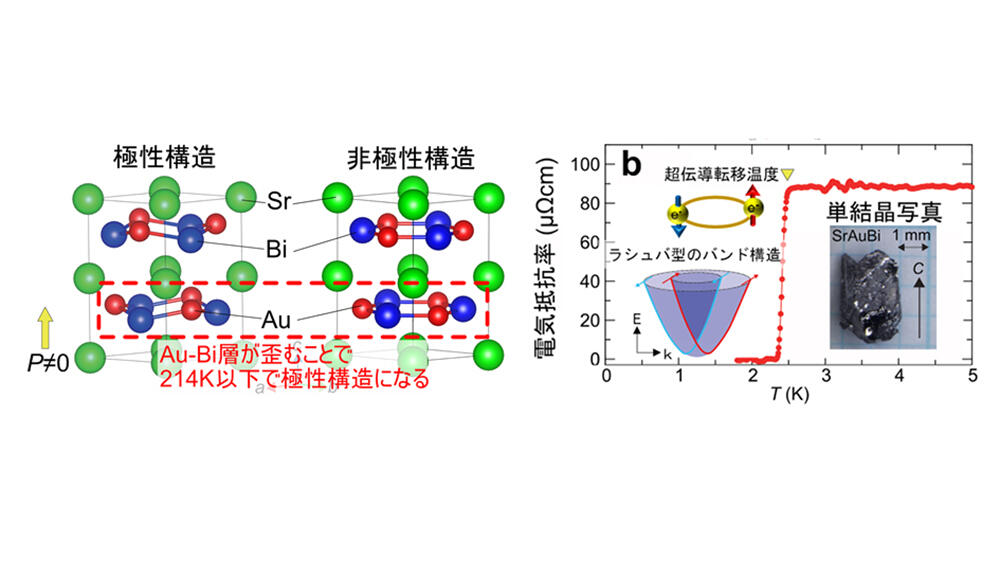 量子コンピュータ素子等への展開も期待できる新材料の発見／ 強誘電的