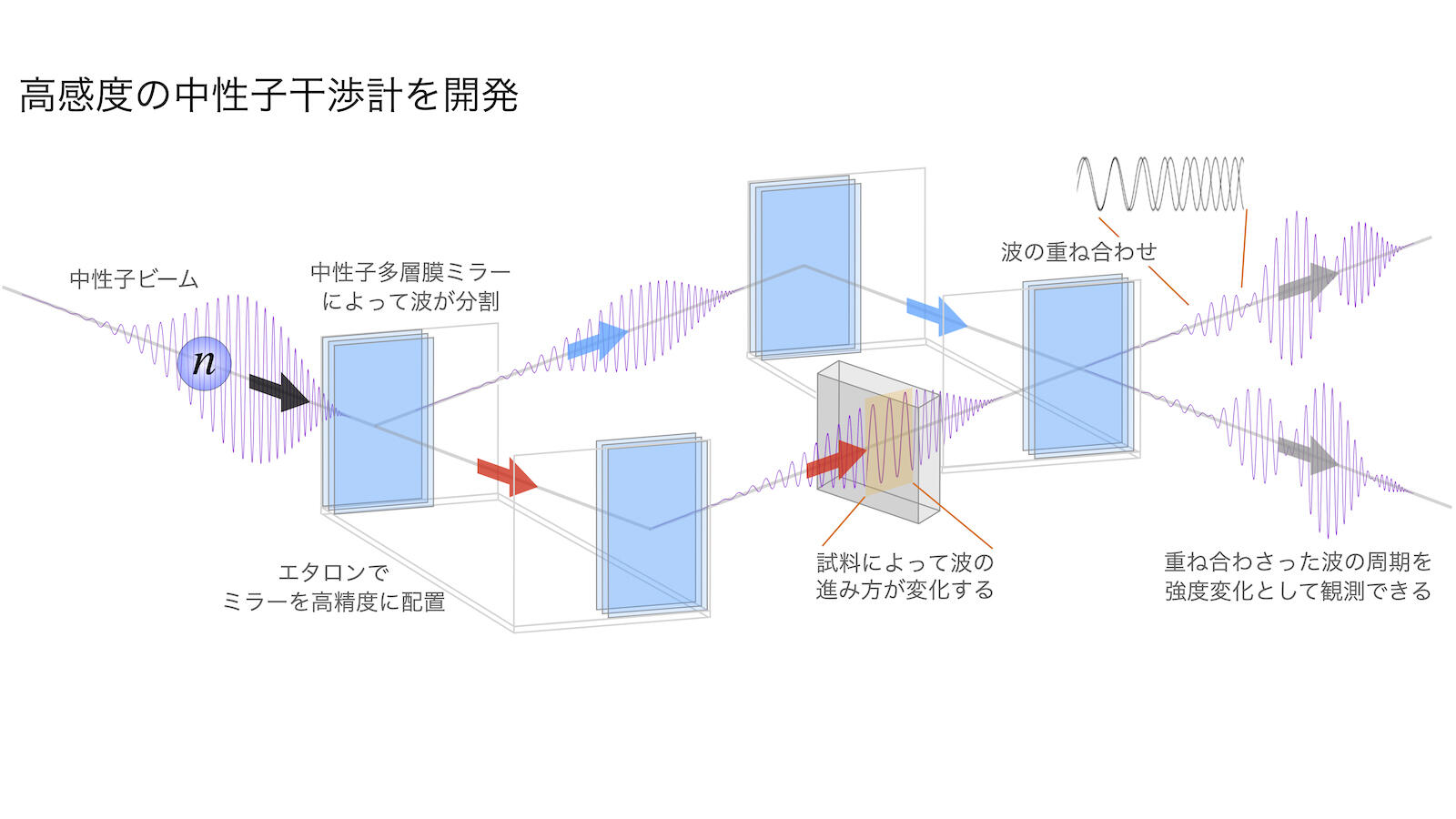 高感度の新型中性子干渉計の開発に成功 －中性子の相互作用の精密測定