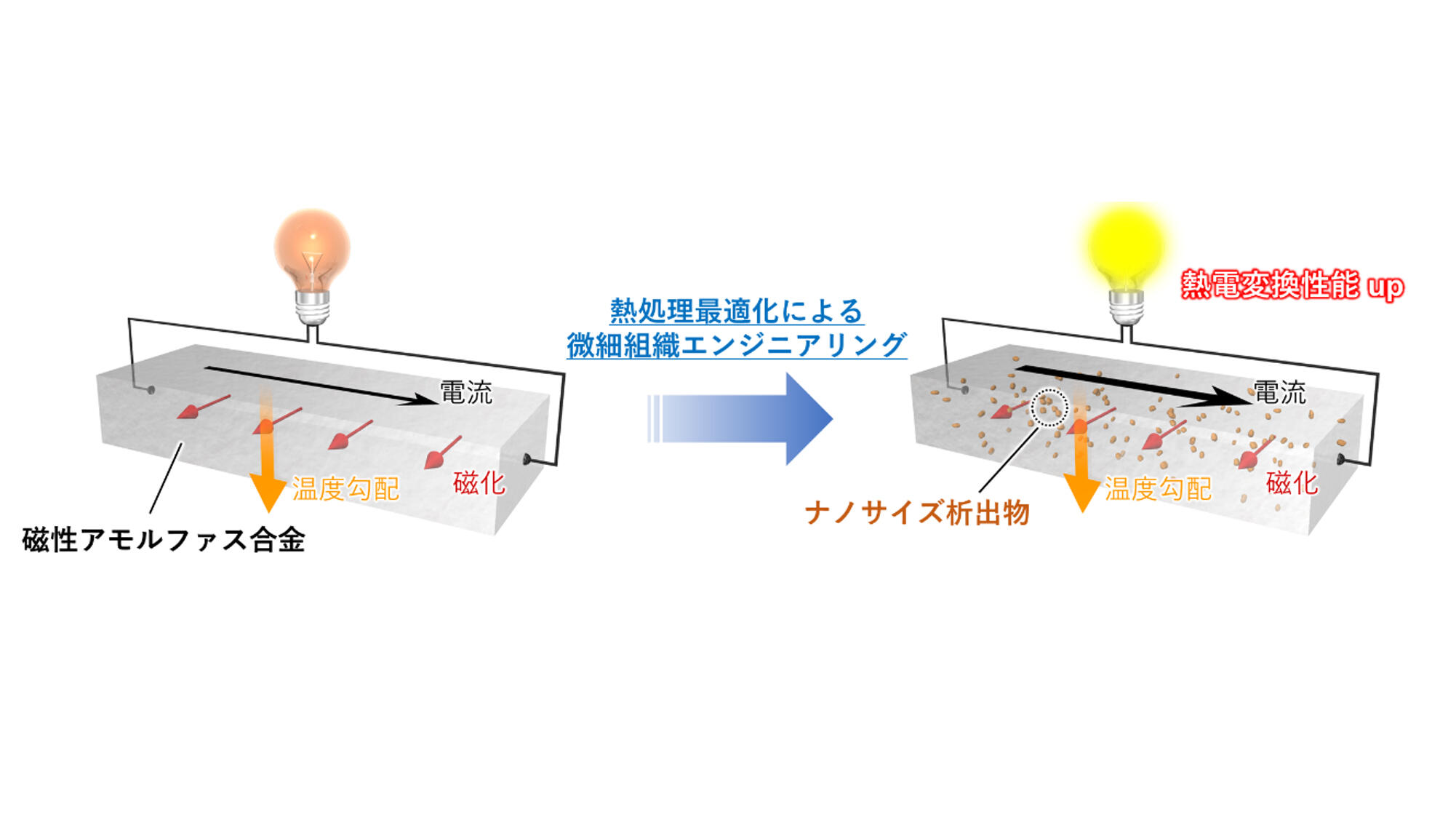 ありふれた軟磁性合金が3分の熱処理で次世代熱電変換材料に変身