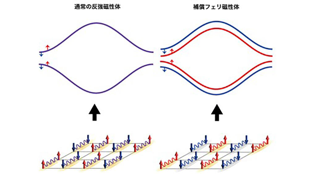スピン分裂を示す新しいタイプの反強磁性体を発見 ――反強磁性体