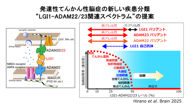 エネルギー医学の原理―その科学的根拠 Amazon.co.jp: エネルギー医学の原理 : ジェームズ・オシュマン