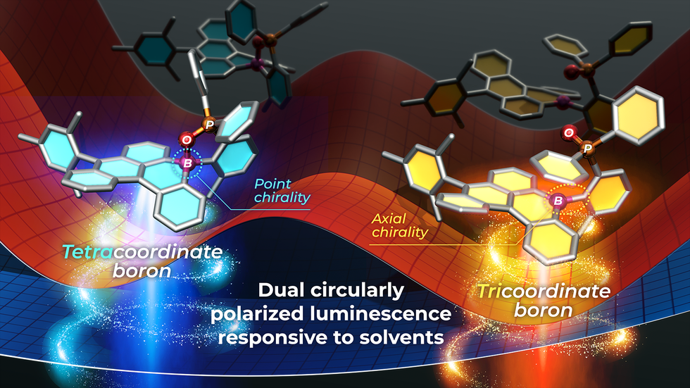 二重の円偏光発光を示すキラルホウ素分子を開発～環境応答性発光に基づく先端光技術の創出に期待～