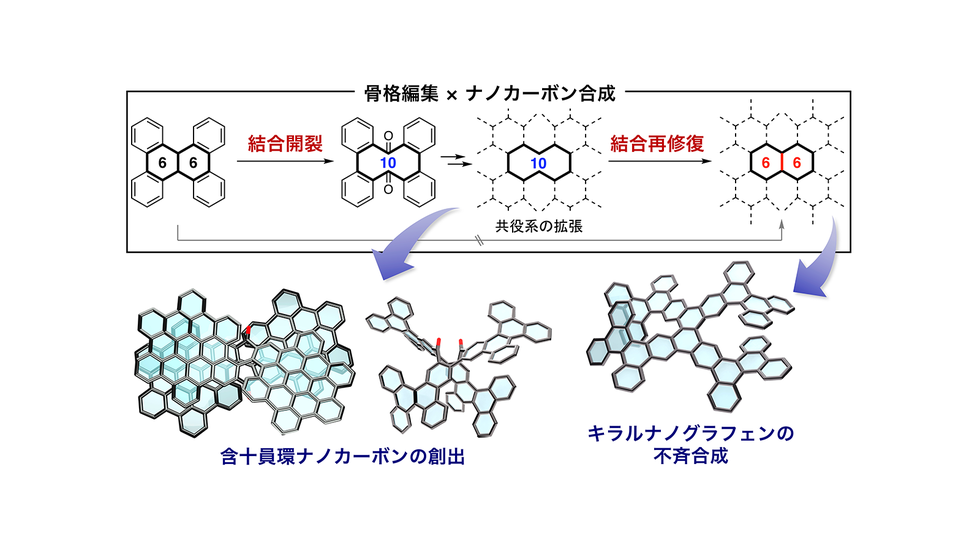 ナノカーボン合成の新展開：「骨格編集」戦略を実証～次世代デバイスなど機能性材料の創出につながる知見～