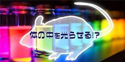 20250909torimoto_f.jpg